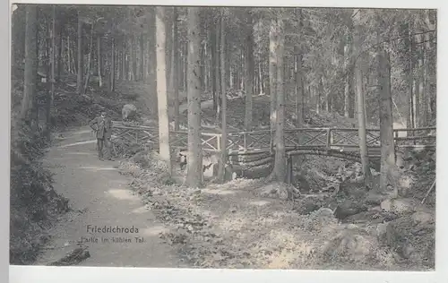 (96717) AK Friedrichroda, Thür., kühles Tal, Brücke, um 1909