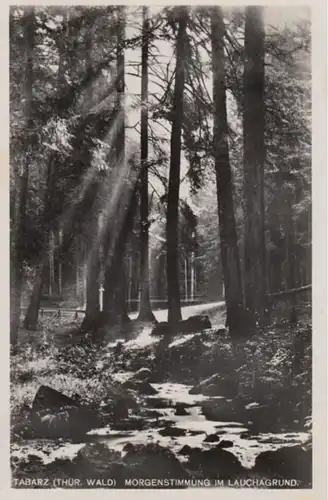 (960) Foto AK Tabarz, Morgenstimmung im Lauchagrund 1930