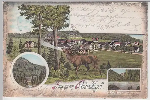 (93140) Künstler AK Gruß aus Oberhof, Thür., Bärenstein, Silberteich 1900