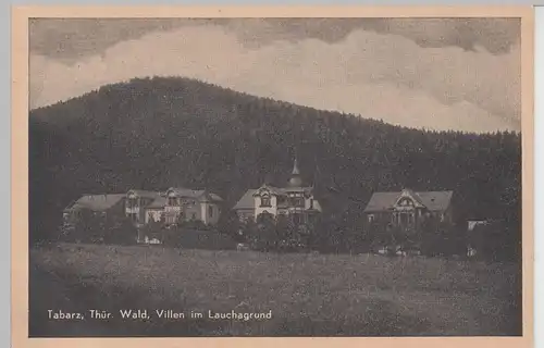 (93125) AK Tabarz, Thür. Wald, Villen im Lauchagrund