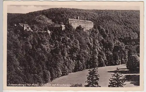 (93121) AK Schloss Schwarzburg, Thür., Hirschwiese, vor 1945