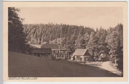 (91142) AK Mühltal b. Eisenberg, Froschmühle 1931