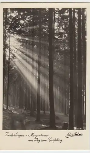 (9104) Foto AK Finsterbergen, Weg zum Spießberg 1955