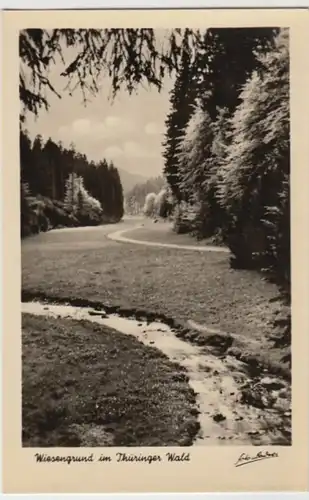 (8927) Foto AK Thüringer Wald, Wiesengrund 1955