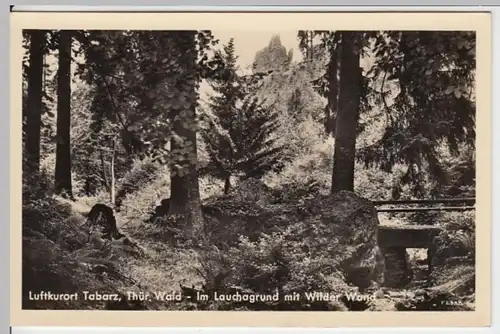 (8917) Foto AK Tabarz, Th. Wald, Wilde Wand im Lauchagrund 1957