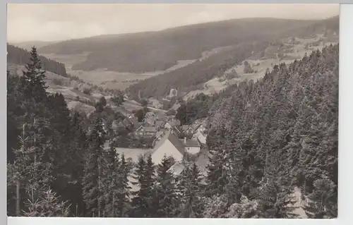 (89131) Foto AK Gießübel, Thür. Wald, Rehbachgrund 1960