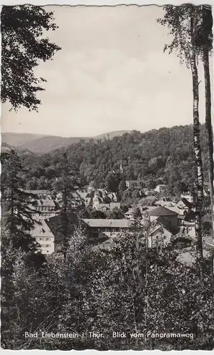 (88882) Foto AK Bad Liebenstein, Blick vom Panoramaweg 1959