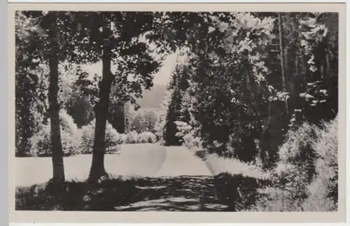 (8828) AK Bad Berka, Dambachsgrund 1960