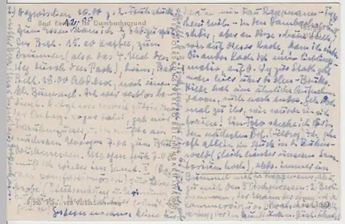 (8828) AK Bad Berka, Dambachsgrund 1960