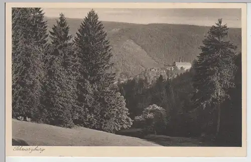 (87633) AK Schwarzburg, Thür., Blick von der Flaschenwiese 1929