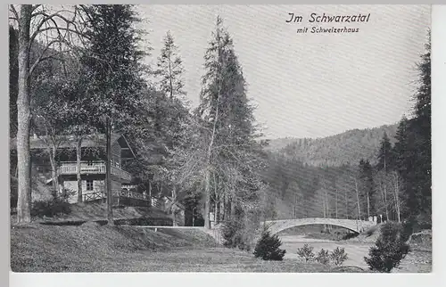 (87630) AK Schwarzatal, Schweizerhaus, vor 1945
