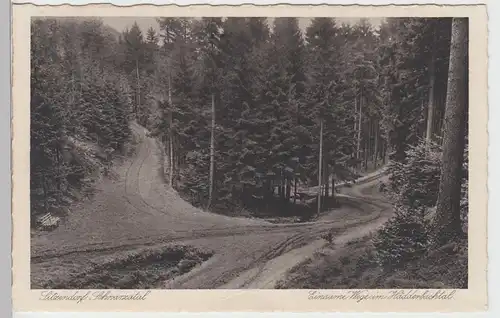 (87628) AK Sitzendorf, Schwarzatal, Hädderbachtal, vor 1945