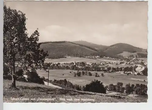 (87087) Foto AK Tabarz-Cabarz, Blick nach dem Inselsberg 1963