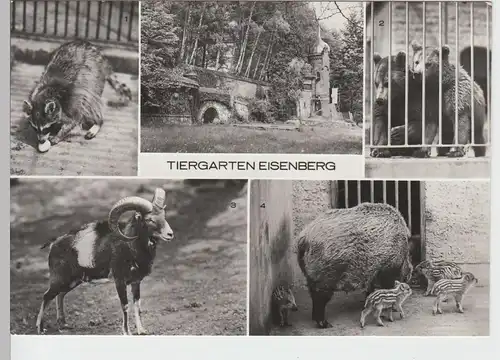(86931) Foto AK Eisenberg, Tiergarten, Mehrbildkarte 1984