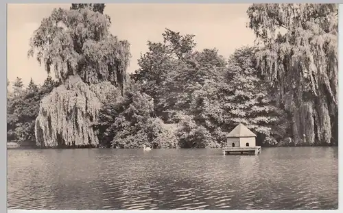 (86461) Foto AK Apolda, Friedensteich 1965