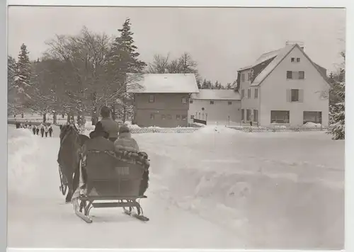 (83194) Foto AK Friedrichroda, Tanzbuche, Pferdeschlitten 1978