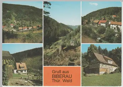 (83193) AK Biberau, Thür. Wald, Mehrbild, Rote Mühle, Bibertal 1990