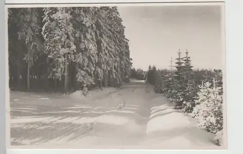 (79994) Foto AK Schmiedefeld am Rennsteig, Winterwald