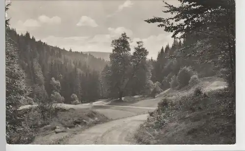 (79989) Foto AK Vessertal, Thür. Wald 1967
