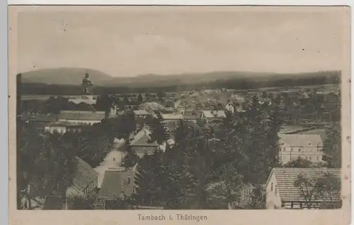 (79955) AK Tambach, Thür., Ortsansicht 1913