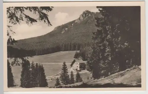 (79925) Foto AK Oberschönau, Thür. Wald, Kanzlersgrund 1955