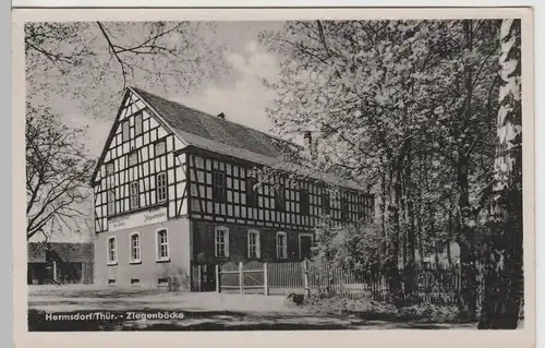 (79922) AK Hermsdorf, Thür., Waldgasthof zu den grauen Ziegenböcken
