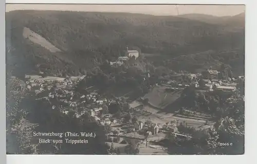 (79892) Foto AK Schwarzburg, Thür. Wald, Blick vom Trippstein 1924