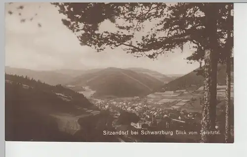 (79891) Foto AK Sitzendorf, Thür., Blick vom Sorbitztal 1921