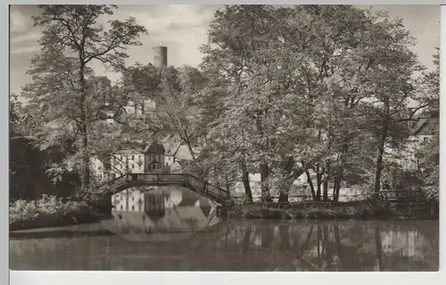 (79882) Foto AK Bad Lobenstein, Inselbrücke 1961