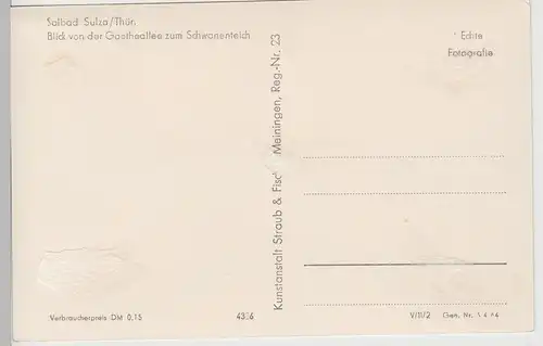 (79878) Foto AK Bad Sulza, Schwanenteich, nach 1945