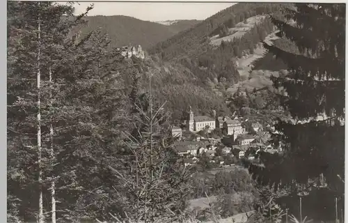 (79860) Foto AK Leutenberg, Panorama, Schloss Friedensburg 1965