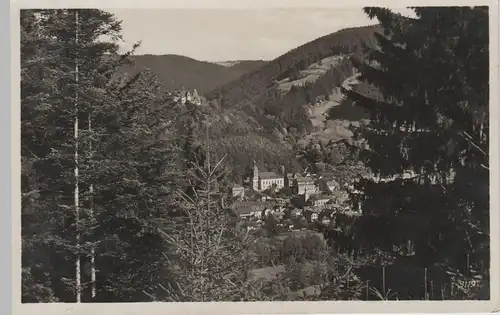 (79859) Foto AK Leutenberg, Panorama, Schloss Friedensburg 1931