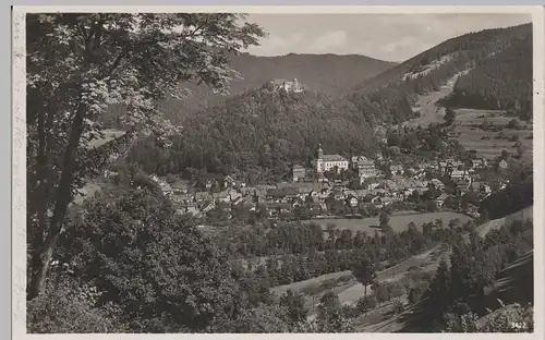 (79858) Foto AK Leutenberg, Panorama, Schloss Friedensburg 1937