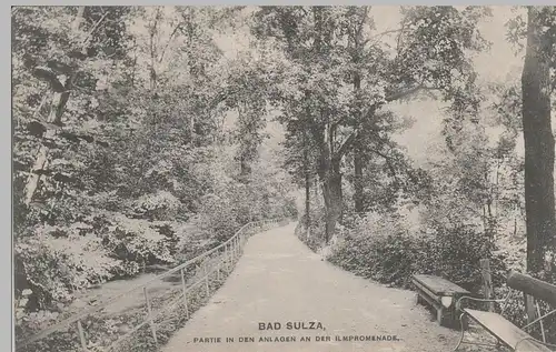 (78685) AK Bad Sulza, Partie in den Anlagen an der Ilmpromenade, 1912