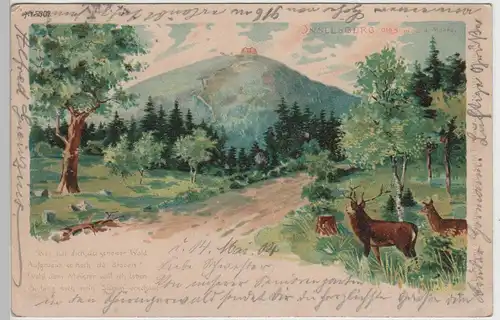 (78642) Künstler AK Fernblick zum Großen Inselsberg 1904