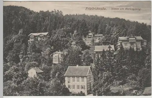 (78611) AK Friedrichroda, Villen am Herzogsweg 1912