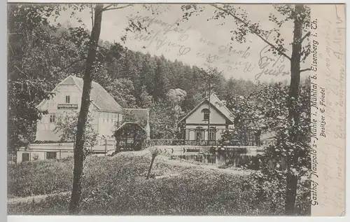 (77748) AK Eisenberger Mühltal, Naupoldsmühle 1906