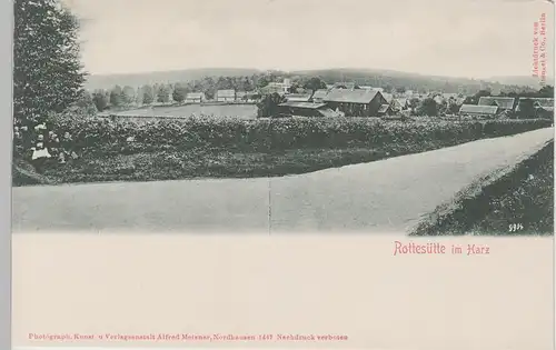 (75020) AK Rothesütte im Harz, Panorama bis 1905