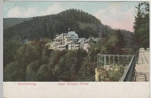 (72417) AK Schwarzburg, Hotel Weißer Hirsch 1908