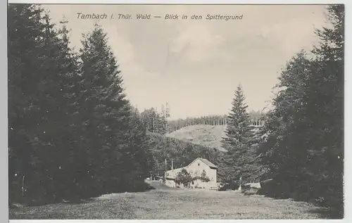 (70581) AK Tambach i. Thür. Wald, Blick i.d. Spittergrund, vor 1945