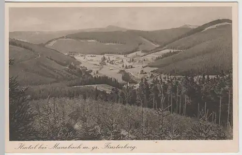 (67250) AK Ilmtal bei Manebach, Großer Finsterberg, vor 1945