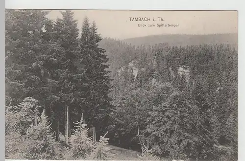 (67179) AK Tambach, Thür., Blick zum Spittertempel 1913