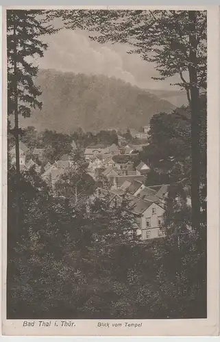 (63123) AK Thal, Ruhla, Thür. Wald, Panorama, Blick vom Tempelchen 1929