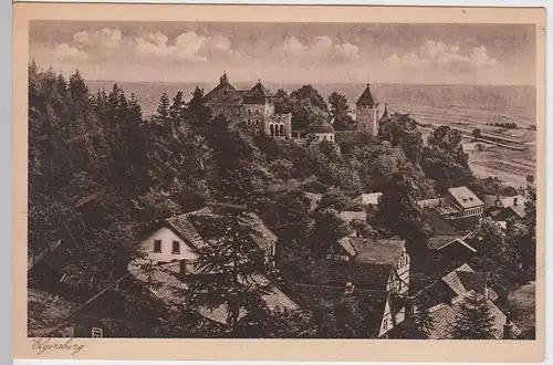 (60147) AK Elgersburg, Blick zum Schloß, vor 1918