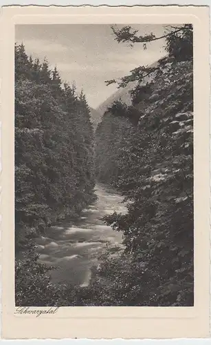 (59617) AK Schwarzatal, vor 1945