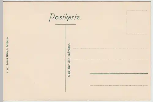 (58410) AK Rudolstadt, Gesamtansicht vom Hain, um 1910