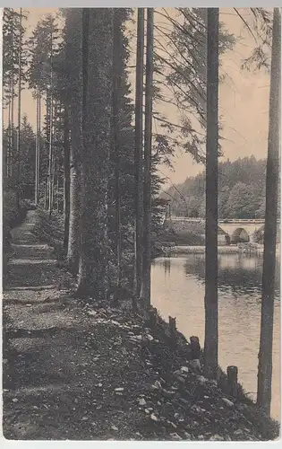 (56289) AK Tambach, Gothaer Talsperre, Grauwegsbrücke 1910er