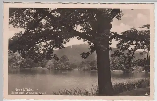 (55944) Foto AK Greiz, Blick zum Weißen Kreuz, vor 1945