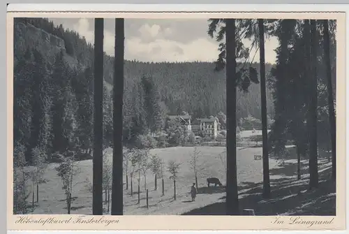 (52823) AK Finsterbergen, Thür. Wald, Leinagrund, aus Leporello vor 1945