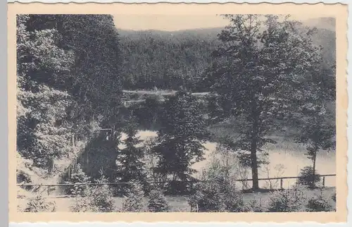 (52821) AK Finsterbergen, Thür. Wald, Brandleiteteich, vor 1945